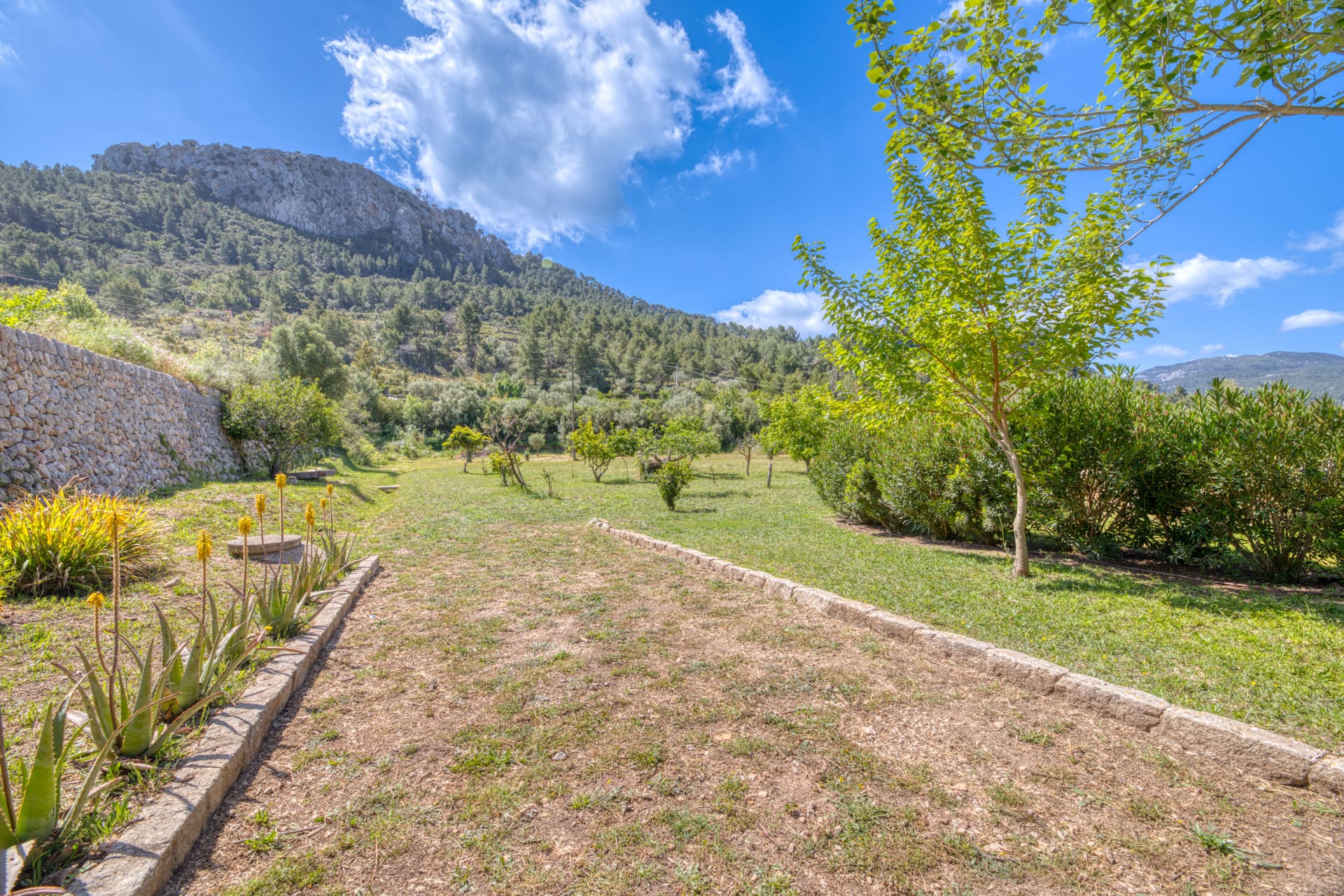 1760459108-2b9ddeaa-85a9-401c-b7e2-990a25ddea17