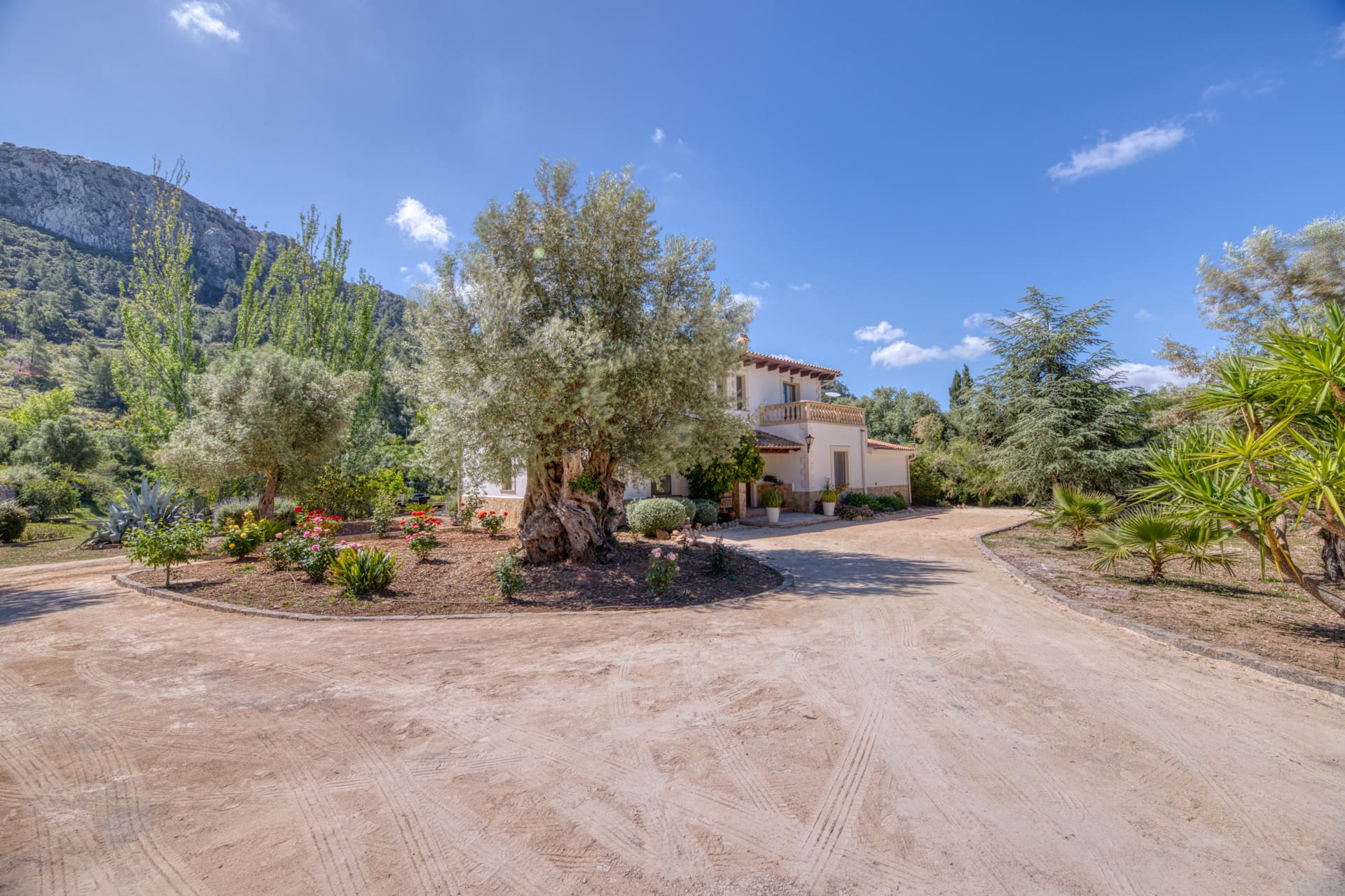 1760459110-d0030141-e043-49e4-822b-bd417949bdff