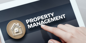 Property Management in Co-Ownership – Daily Care and Guest Prep with Palmallorca - Kopi